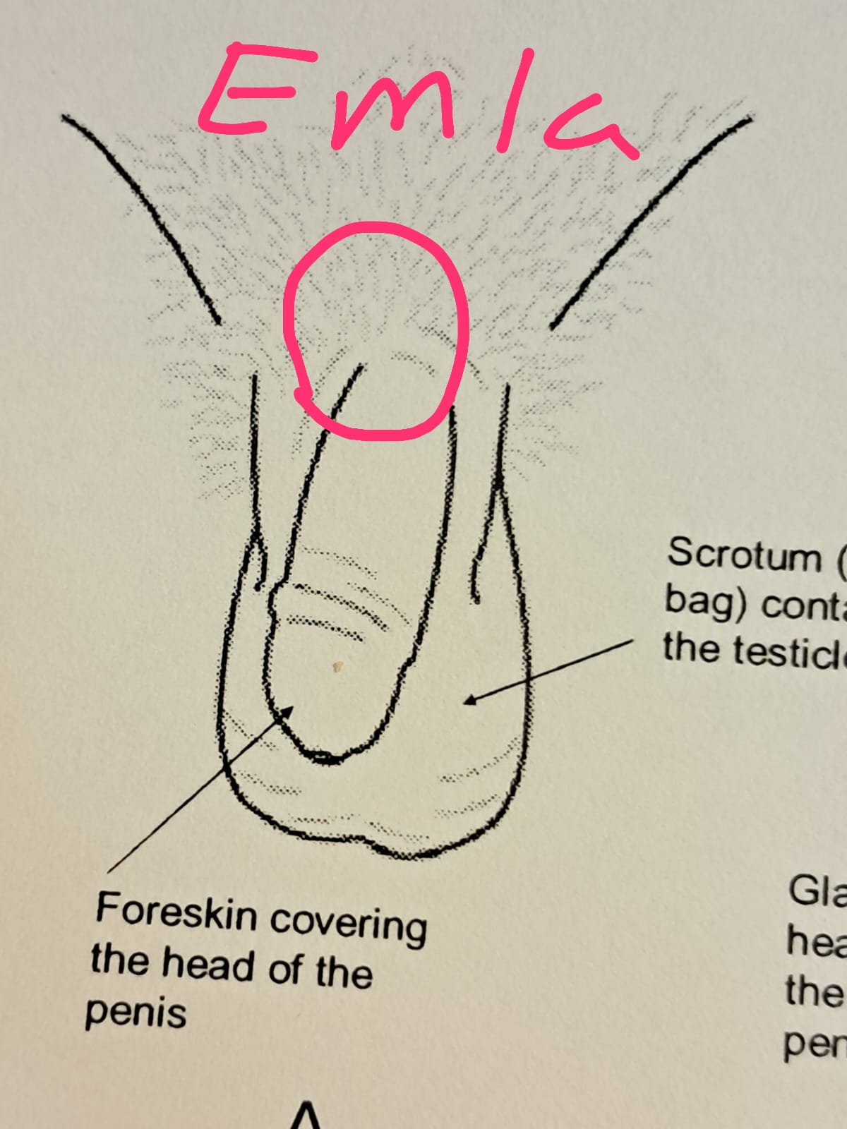 Instruktioner bild